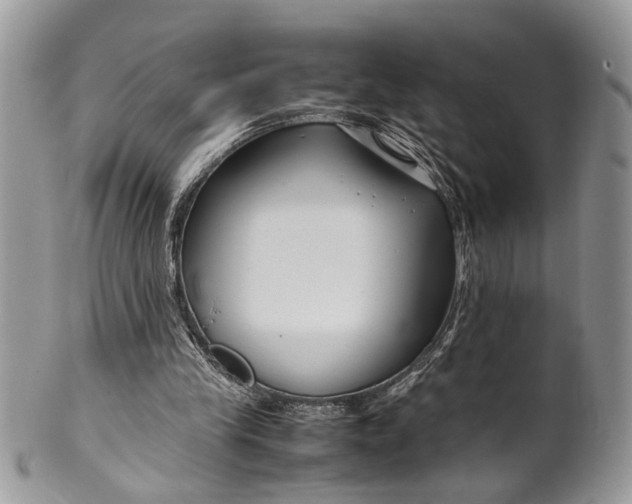 X0000099510245200806051154