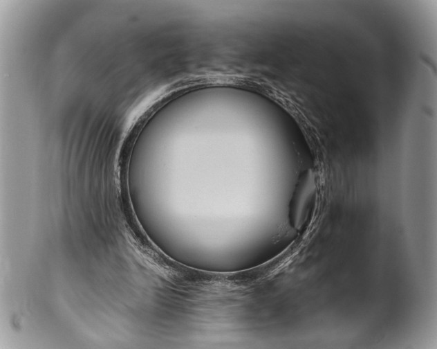 X0000099510246200806051154