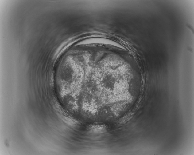 X0000099510247200806051154