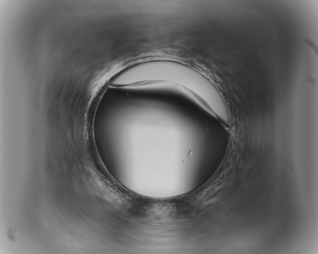 X0000099510248200806051154