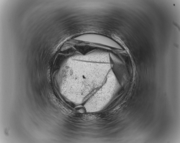 X0000099510249200806051154