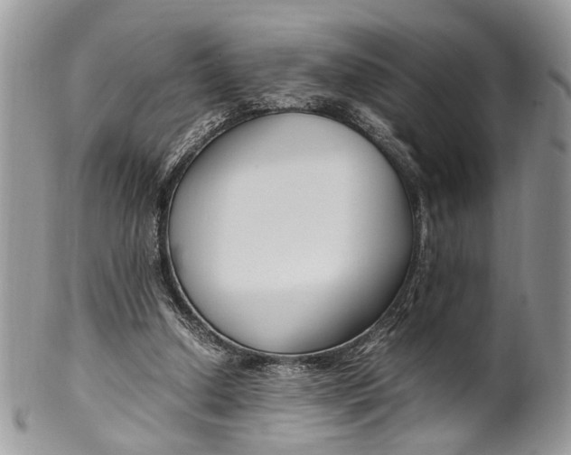 X0000099510250200806051154