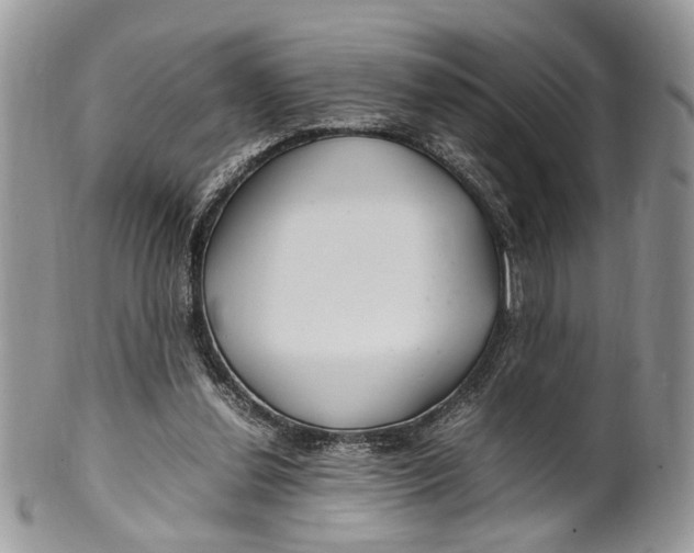 X0000099510252200806051154