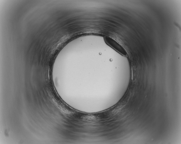 X0000099510253200806051154