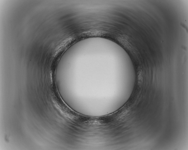 X0000099510254200806051154