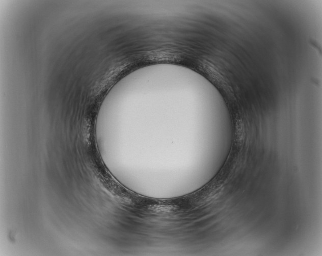 X0000099510255200806051154