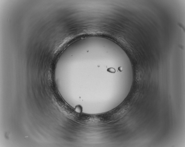 X0000099510256200806051154