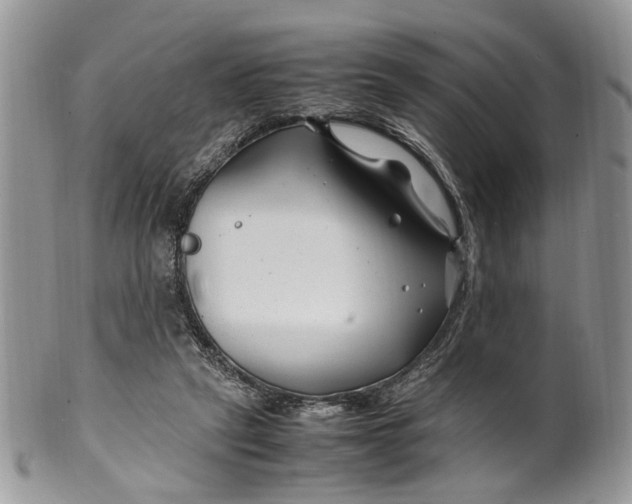 X0000099510257200806051154