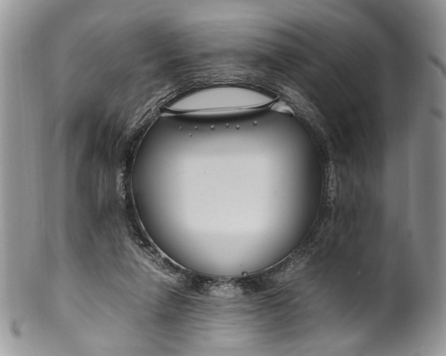 X0000099510258200806051154