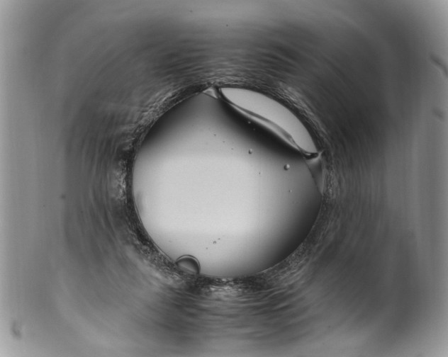 X0000099510259200806051154