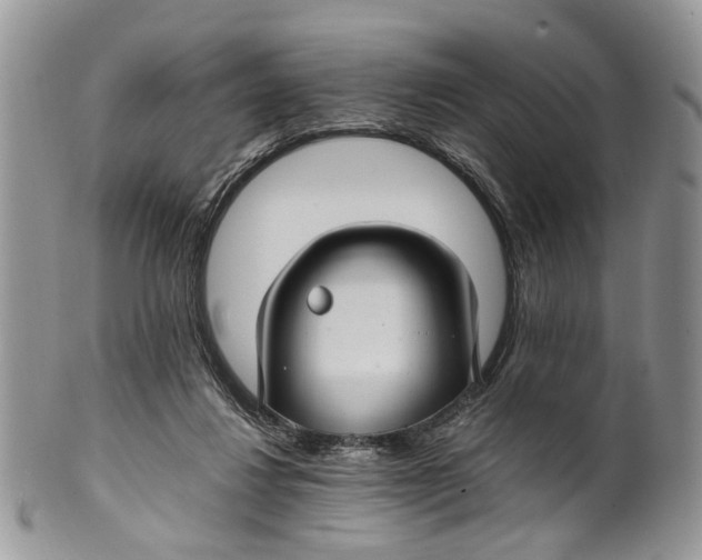 X0000099510260200806051154