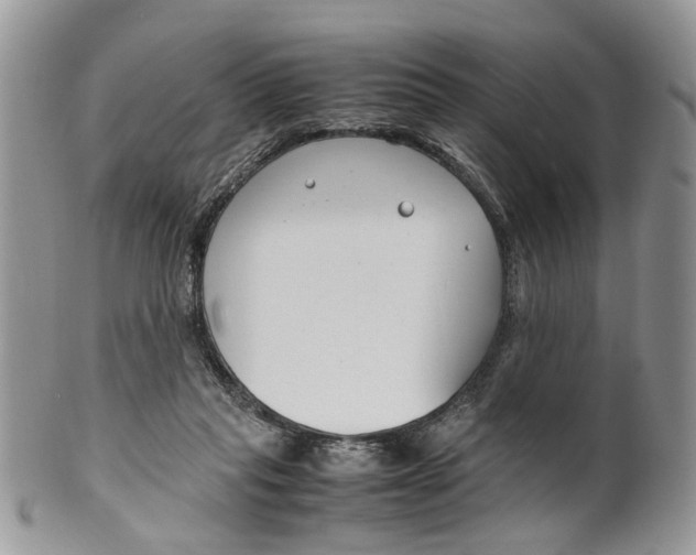 X0000099510261200806051154