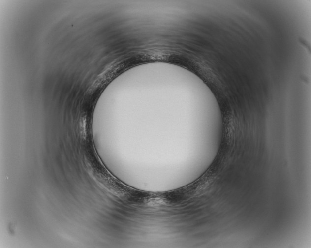 X0000099510262200806051154