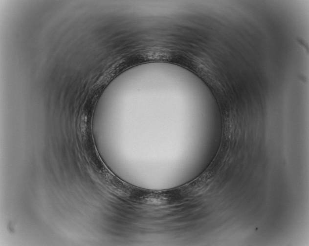 X0000099510263200806051154