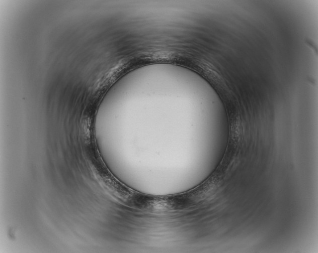 X0000099510264200806051154