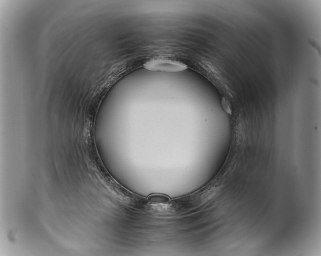 X0000099510265200806051154