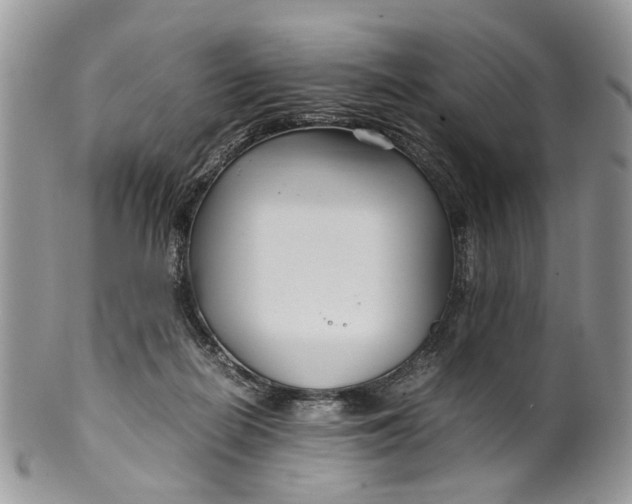 X0000099510266200806051154