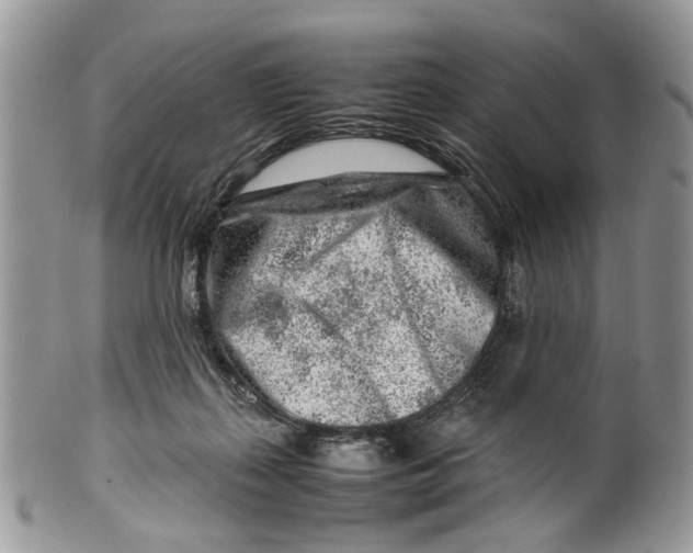 X0000099510267200806051154