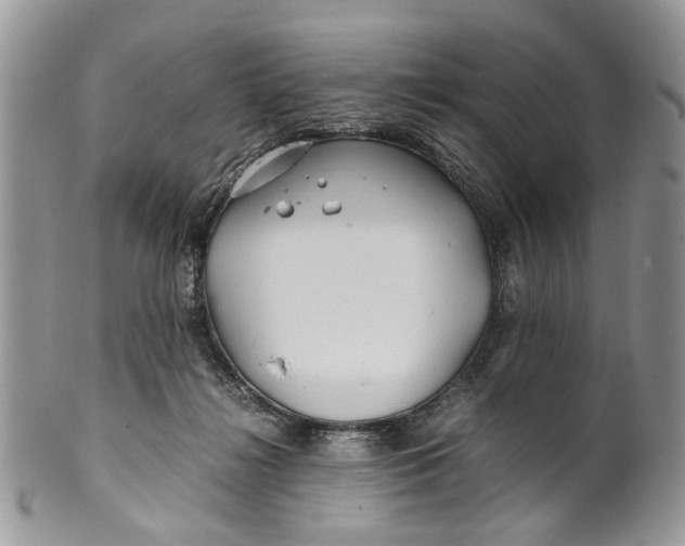 X0000099510268200806051154