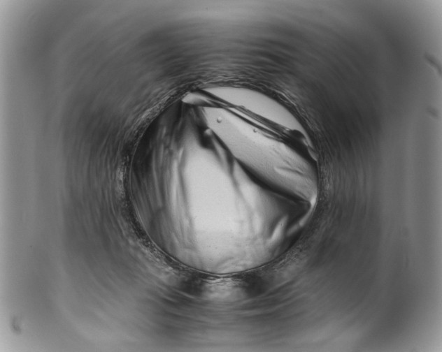 X0000099510269200806051154