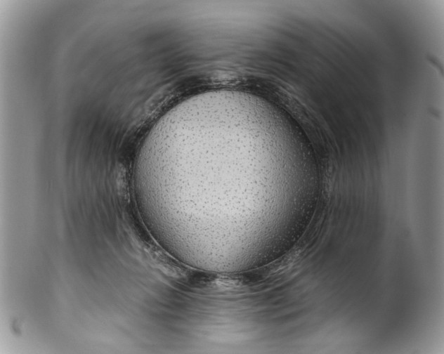 X0000099510270200806051154