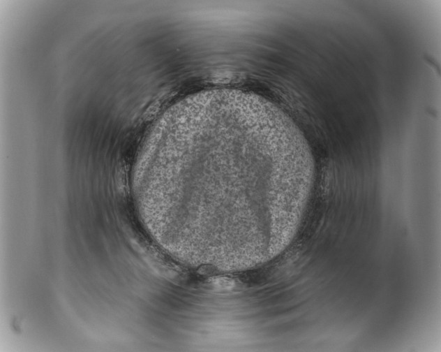 X0000099510272200806051154