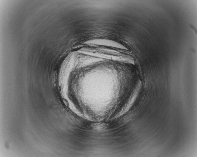 X0000099510273200806051154