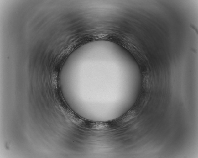 X0000099510274200806051154