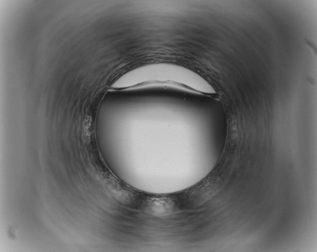 X0000099510275200806051154