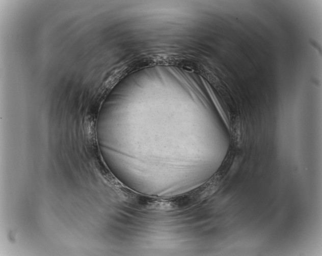 X0000099510276200806051154