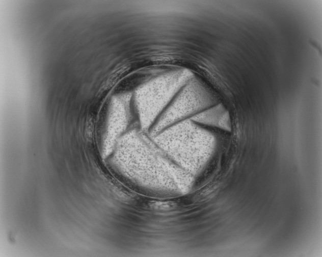 X0000099510277200806051154