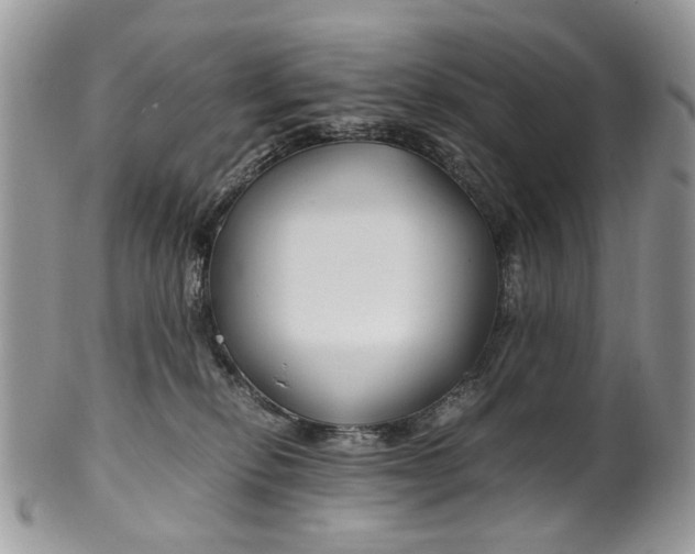 X0000099510278200806051154