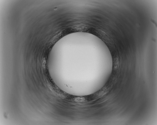 X0000099510279200806051154