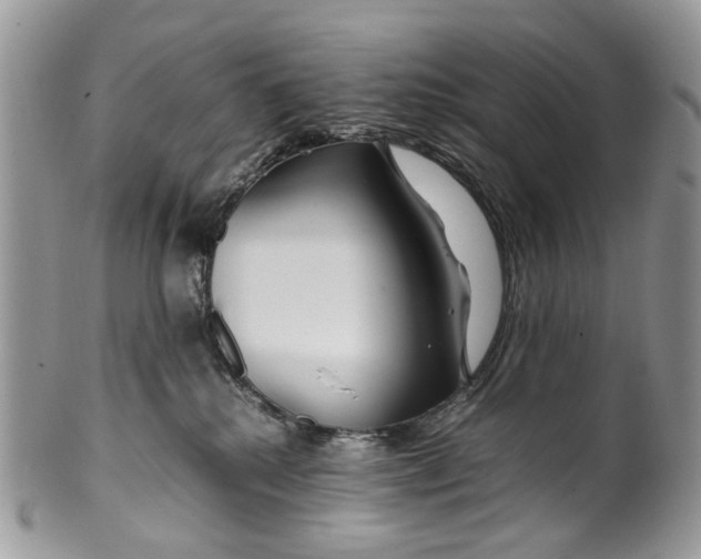 X0000099510280200806051154