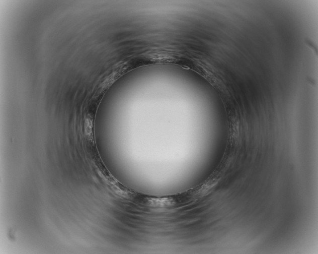 X0000099510281200806051154