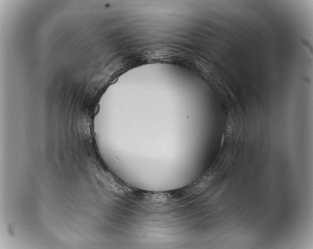 X0000099510282200806051154