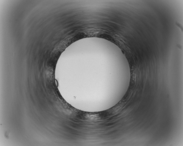 X0000099510283200806051154