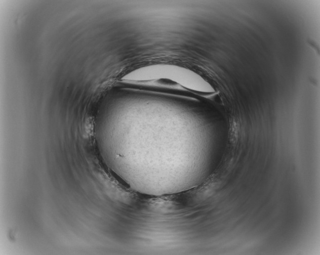 X0000099510284200806051154