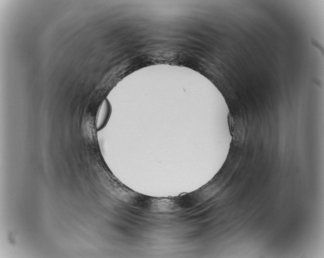 X0000099510287200806051154