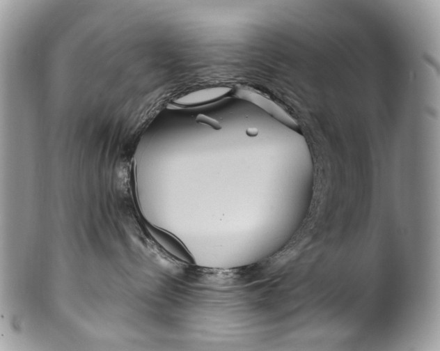 X0000099510288200806051154