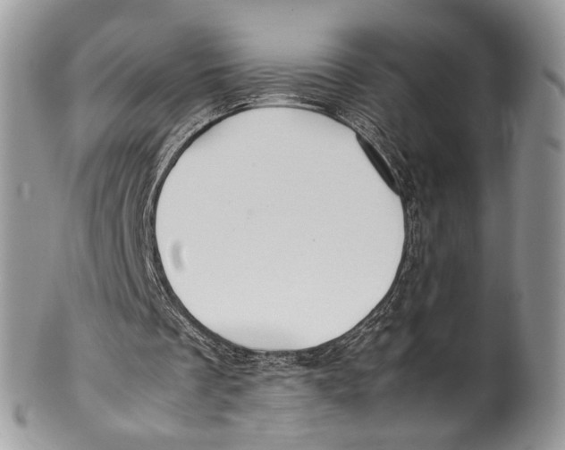 X0000099510289200806051154