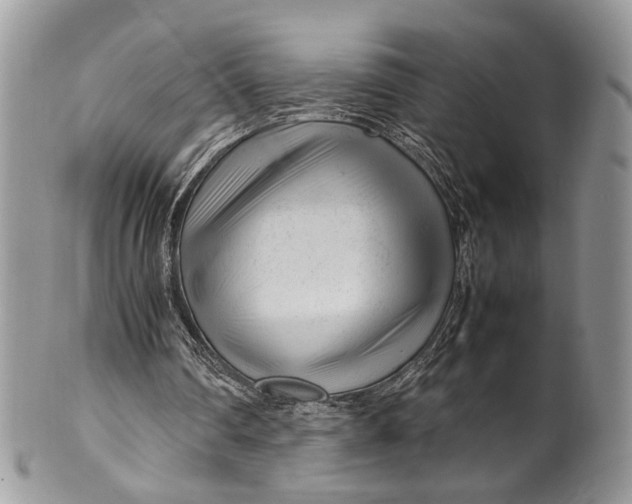 X0000099510290200806051154