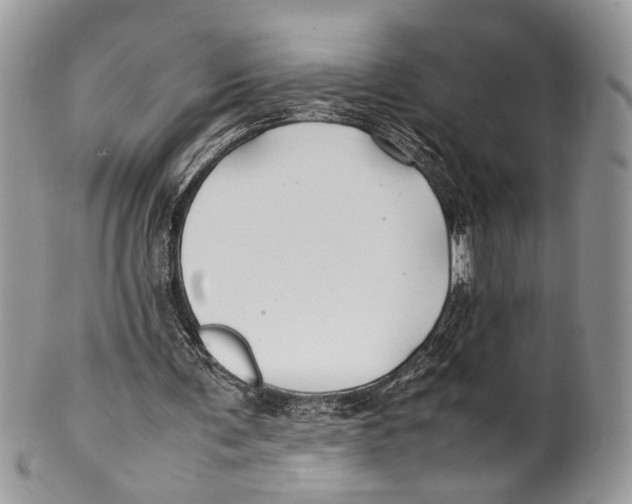 X0000099510291200806051154