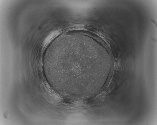 X0000099510293200806051154