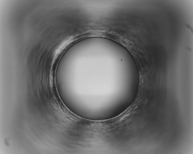 X0000099510294200806051154