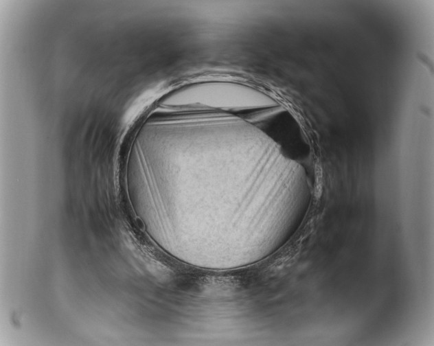 X0000099510296200806051154