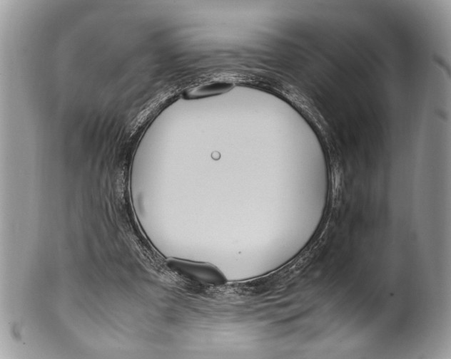 X0000099510297200806051154