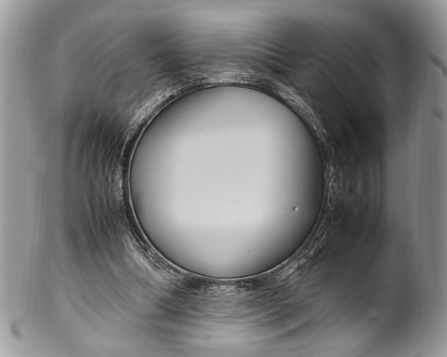 X0000099510298200806051153