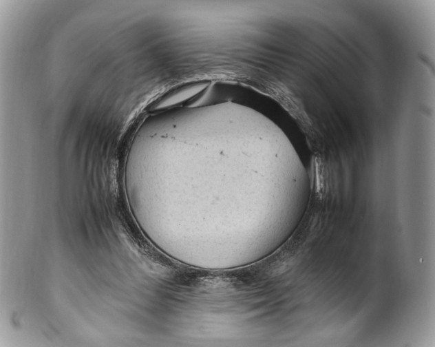 X0000099510300200806051153