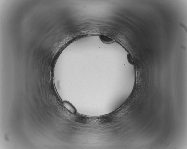 X0000099510301200806051153